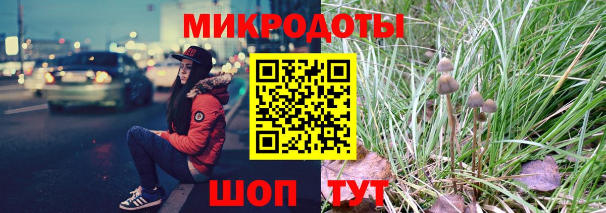 Гатчина  Галлюциногенные грибы GOLDEN TEACHER  Вход с VPN 