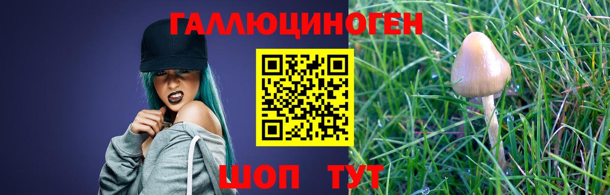 Псилоцибиновые грибы ЛСД Гатчина